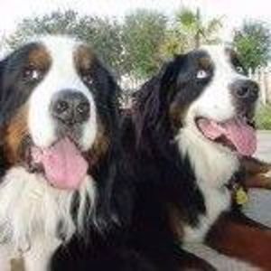 Meet your Posher, Sandy